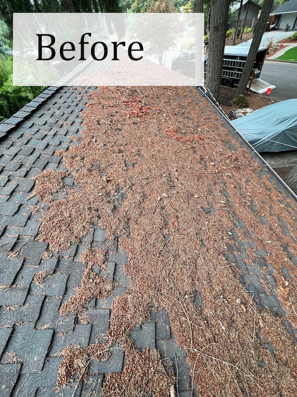 Job example 6